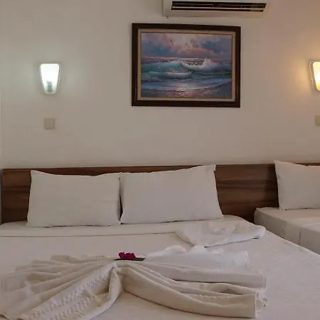 Asel Hotel 4*